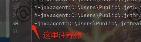图片[2]-JetBrains产品全版本激活补丁使用教程（超详细）